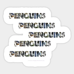 Penguins penguins penguins - wildlife oil painting word art Sticker